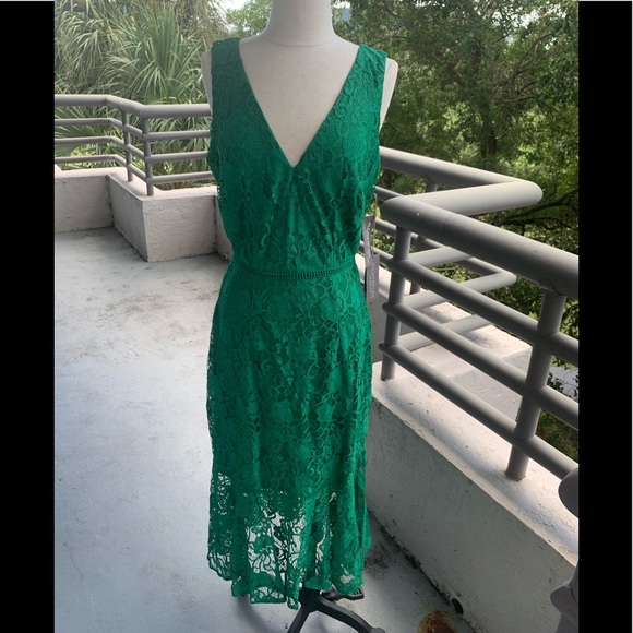 NWT! Eva Mendes Fiesta Collection Alexia Lace Sheath Dress size 8. - Picture 4 of 14